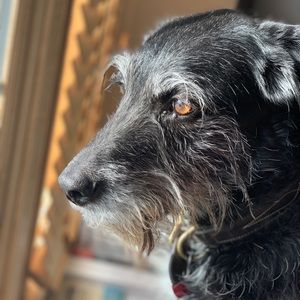 Meet your Posher, Austin